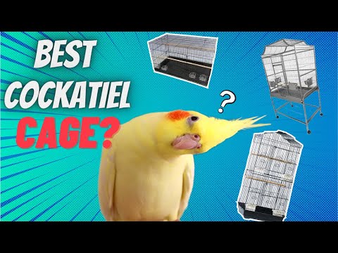 What Cage is Best for Cockatiels