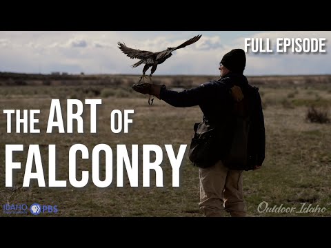 The Art of Falconry