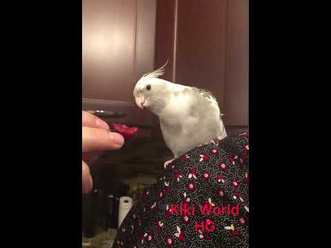 First time eating a cherry.