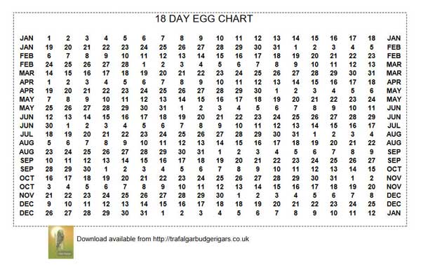 18-Day Egg Chart