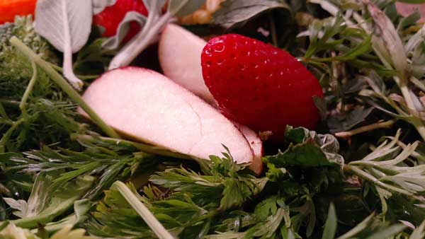 How do you prepare strawberries for budgies