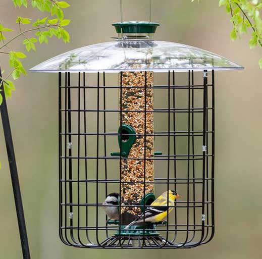 Use cage feeders