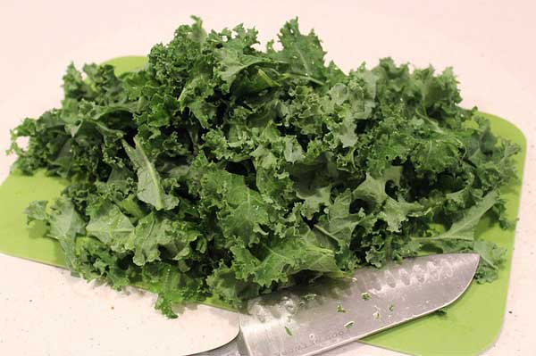 Health Benefits For Cockatiels Eating Kale