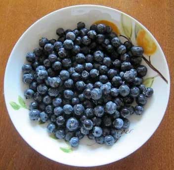 How Do You Prepare Blueberries for Cockatiels