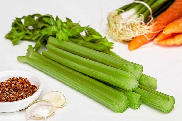 How Do You Prepare Celery For Cockatiels