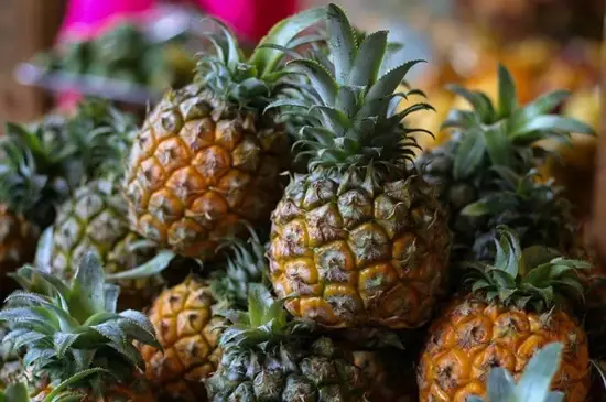 How Do You Prepare Pineapples for Cockatiels