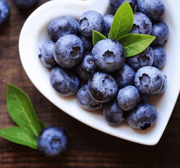 How do you prepare blueberries for budgies