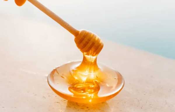Risks For Budgies Eating Honey