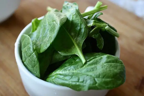 Nutritional benefits of spinach