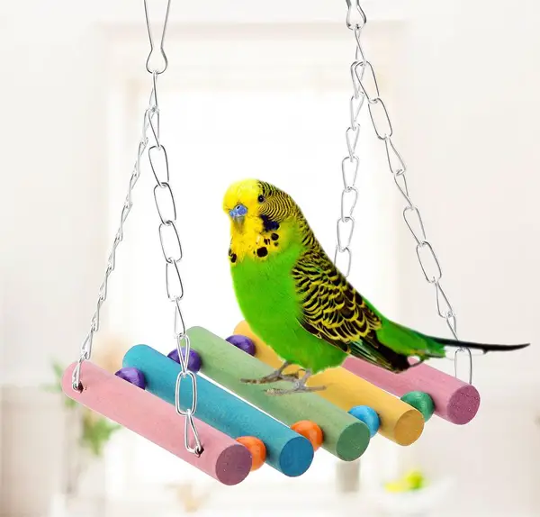 Budgie Climbing toys