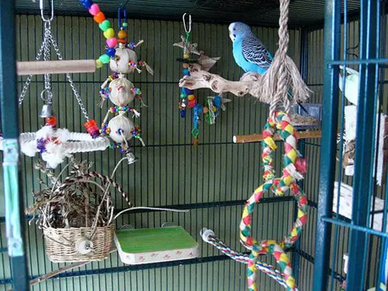 Spiral ropes or rope perches